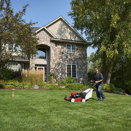 The Lazy Genius’s Guide to Lawn Care: Science, Sass, and Green Glory